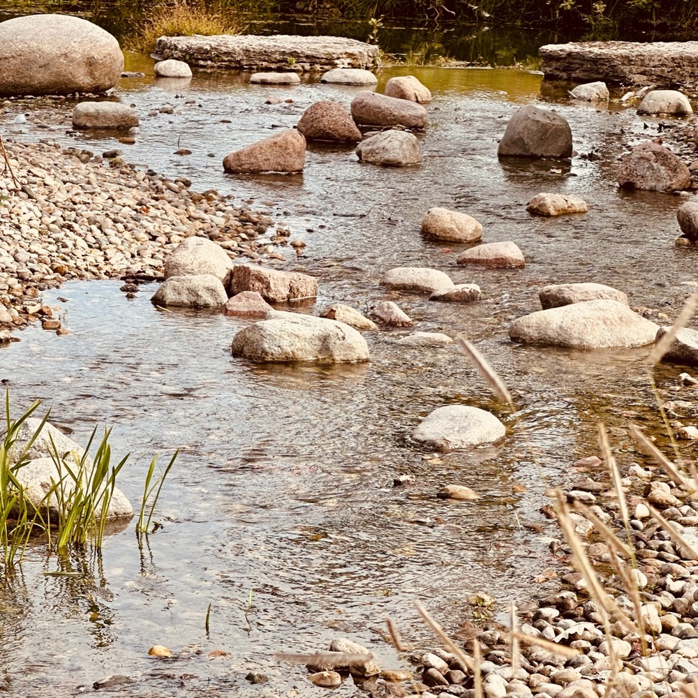 Meet your Posher, Pauletta